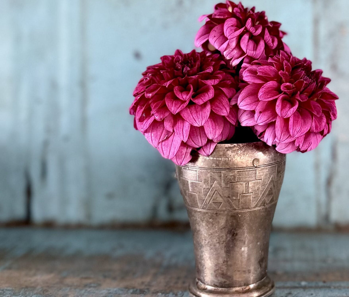 RM Berry Bliss dahlia, purple formal decorative bloom, view 2